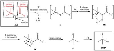 Transformation of arsenic species from seafood consumption during in vitro digestion